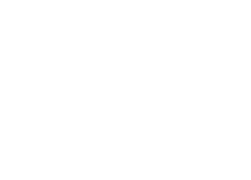 Viva Wallet